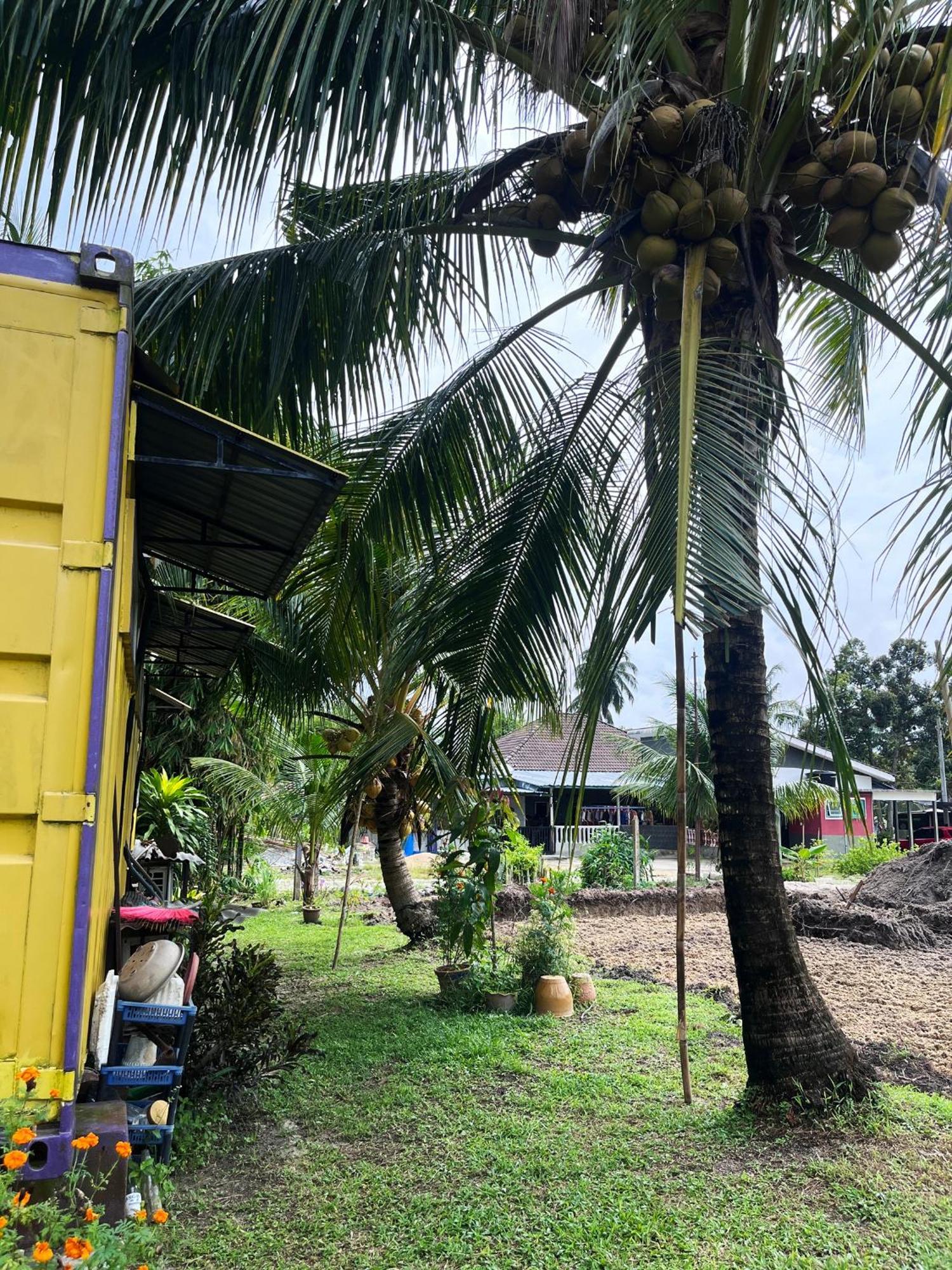 Purple Cube At Lumut Cube Homestay Kontena Zewnętrze zdjęcie